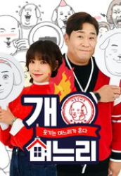 Funny Daughter in Law (2022)