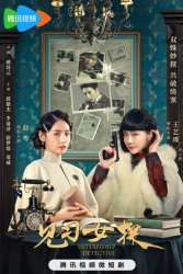 Internship Detective (2023)