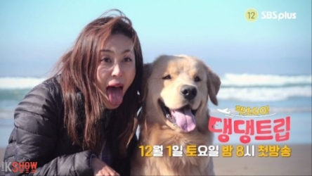 Pets GO Doggy Trip (0)