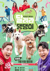 Run Puppy Run (0)