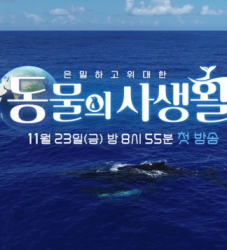 Secrets of Wildlife (2018)